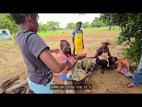 8oz Natural Shea Butter — Sustainably Packaged in Wheat Straw Jar